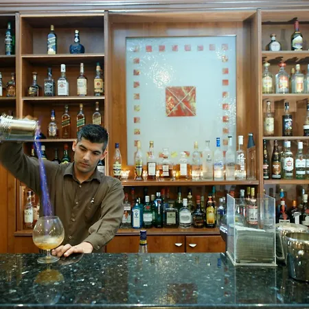 塞萨洛尼基皇家酒店 4* Peraía